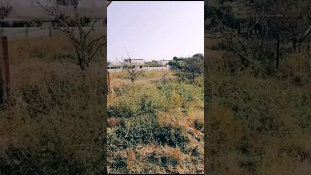 Строим Дом из Арболит Блока  Должанская , Агенство Недвижимости ст Должанская , Риэлтер Должанская