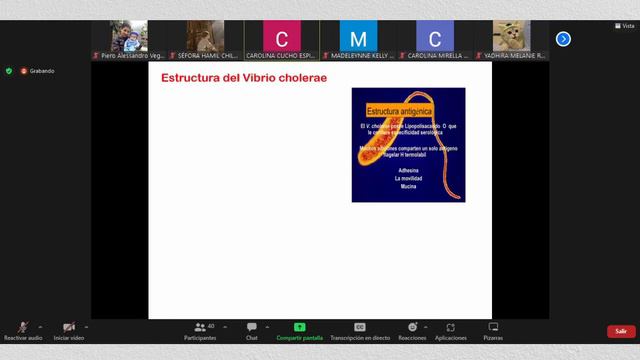 Microbiología - Enterobacterias - Semana 4 :Segmento 2
