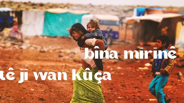 Mejrum Suleymanov — Zarina Raha  NEW 2024