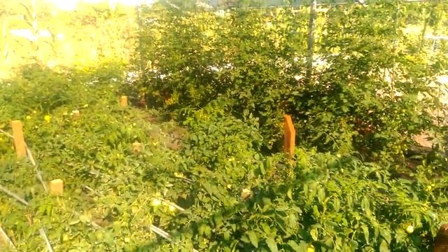 Затеняющая сетка часть 3 эфект