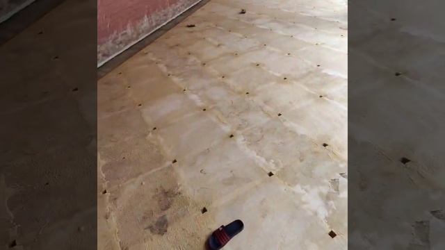 мозайка, шлиф бетон