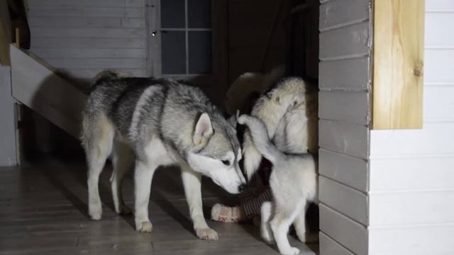 7c7f5d6021921e83fae1b9acc5874b85