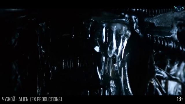 Ответчик-видеостудия