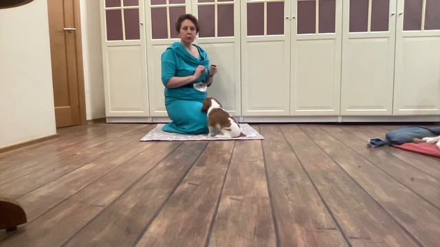 394c922a58c7801c47441af993280f3b