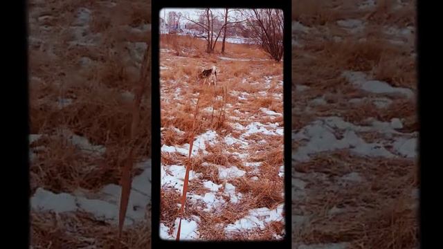 9d4aec832255fe1b8f51de934e077638