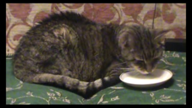 C299a068ae6220b1c7a212abae36b25a