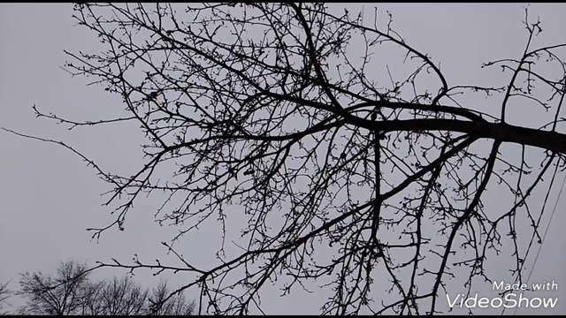 6017fbff371ee18cd325622c8922b4e5