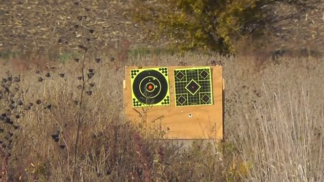 Savage 220 Stainless 20 Gauge Slug Gun