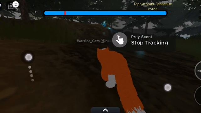 // Как ловить птицу в Warrior Cats роблокс //