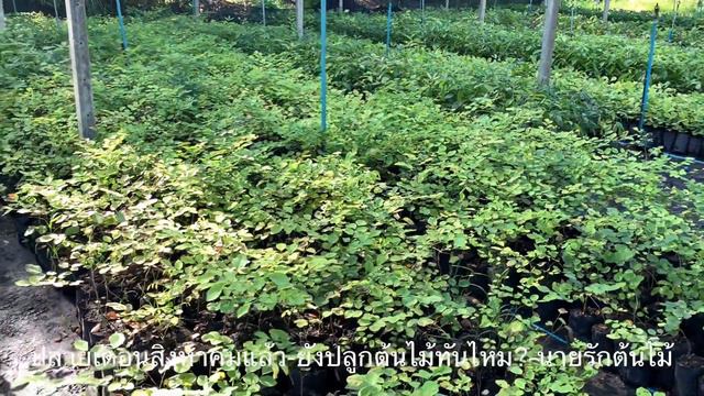 8a6577d92fc8dd59ddc6f20350fb0bb3