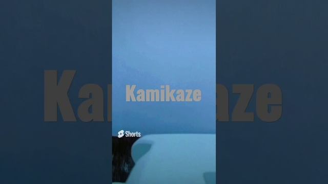 К А М И К А Д З Е