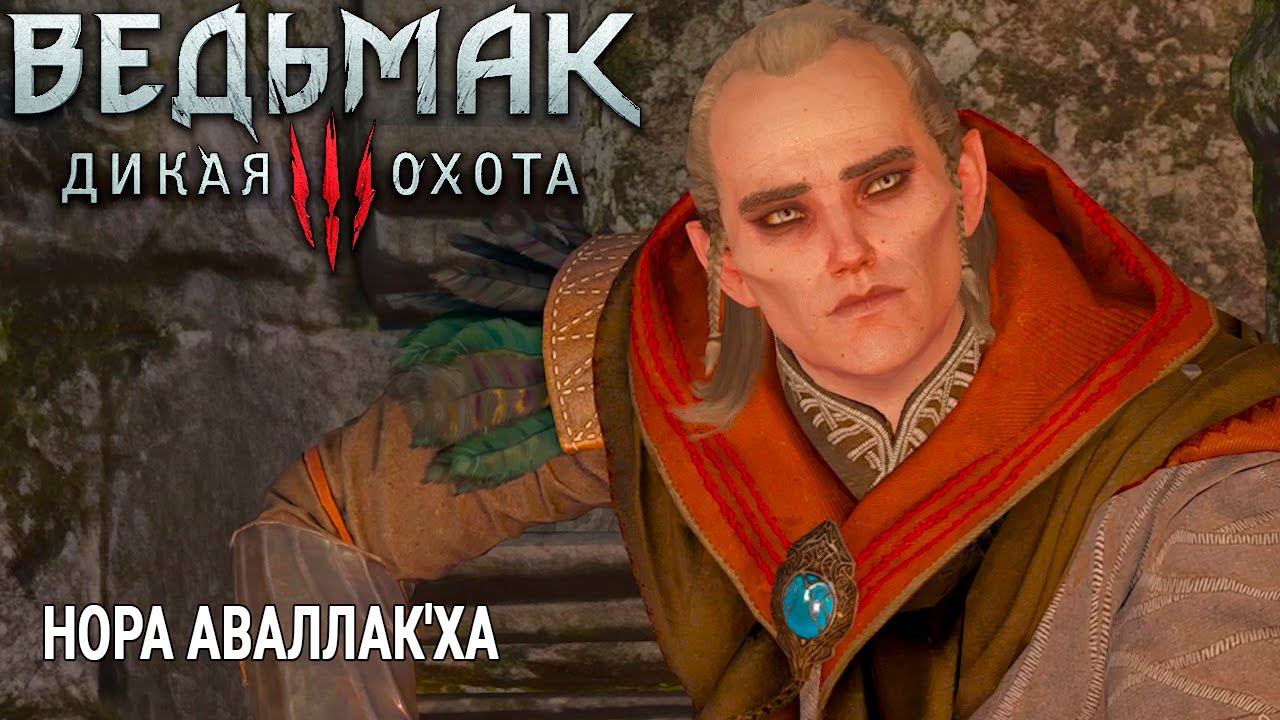 The Witcher 3: Wild Hunt ( Ведьмак 3: Дикая Охота ) РАЗУКРАСИЛИ ЛИЦО АВАЛЛАК'ХУ, НАШЛИ КАМЕНЬ
