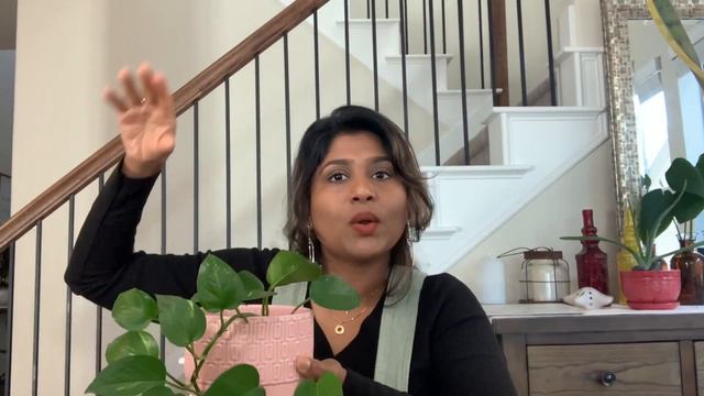 07cf9f26e43ca4ba13285272fe2ddb49