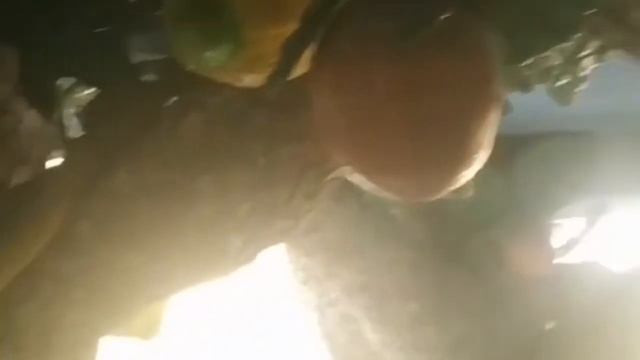 ЗАБРОШЕННЫЙ ОТЕЛЬ5* В КЕМЕРЕ. ТУРЦИЯ❤️??2022Г.