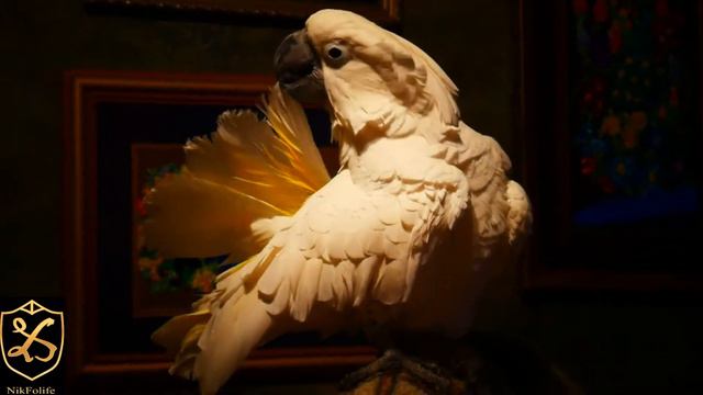 8111858b3ef0d41ef12c8db29d93b6b8