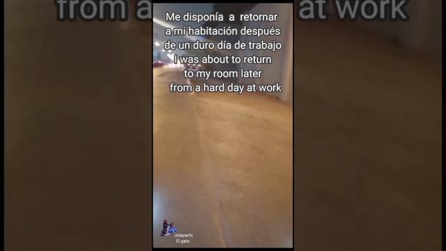 VID_20230525_064054_885.mp4

Mi Rutina Diaria