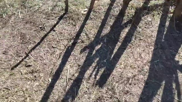 Переделываем укрытие от дождя часть 19