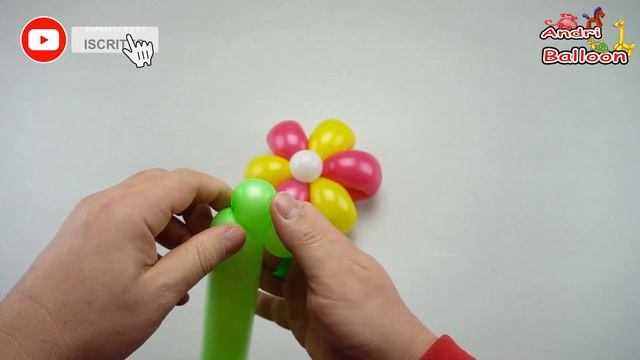 Palloncini Modellabili Tutorial 104 - Fiore Bicolore   - BalloonTwisting  Globoflexia  造型氣球 -