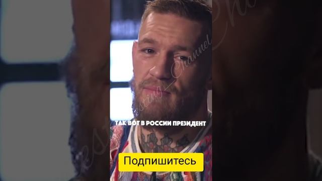 Чем отличается Путин от Зеленского?