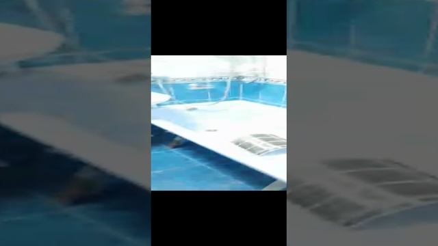 VID-20231111-WA0175.mp4