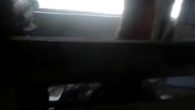 TURKI AND TITIR(WHITE, SILVER, BLACK, SILVER ), CEL:01732384175.