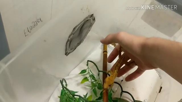 19d099e5151825bb7dd9747671360f82