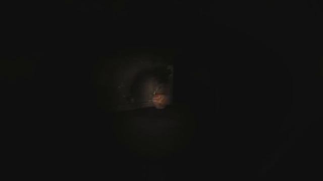 8ce960b42c09d5ba594284d1abb71285