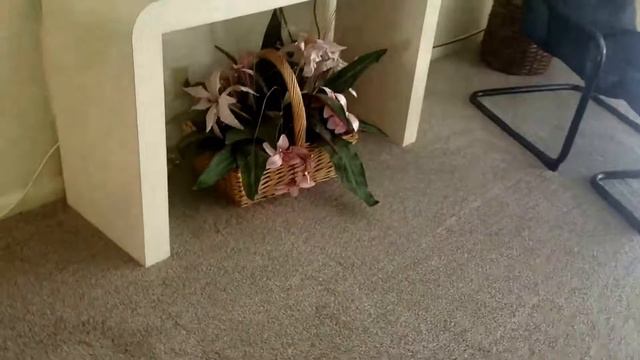 4f059d3068116efd0375c059c517607a