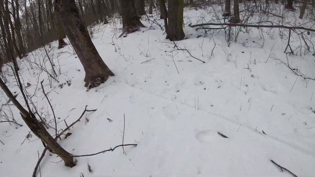 Поймал Леща в Бесклёвье! Прогулка по лесу. Зимняя рыбалка 2021. Мормышка своими руками.