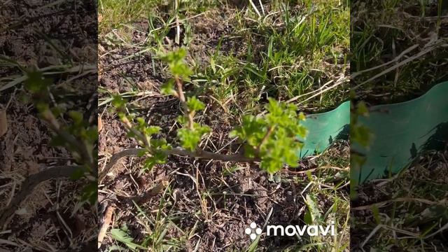 Сгоняли на дачу. Пока нет воды.