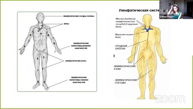 35a40018e6ffc294cc2be7d2b4938166