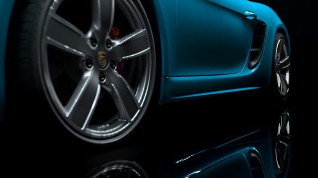 Porsche Perfectionist