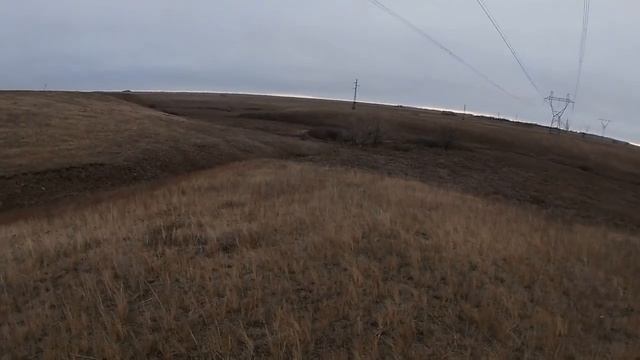 #Охота на зайца | колективом. 