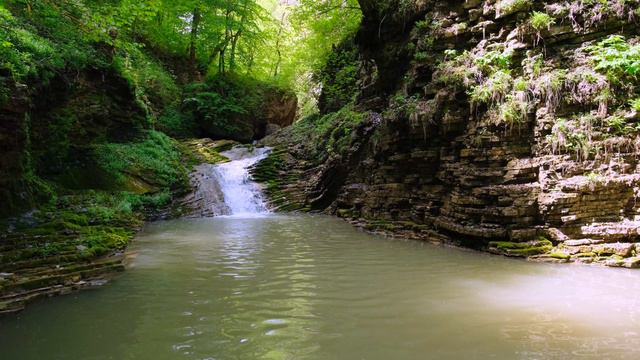 Природа Адыгеи весной...