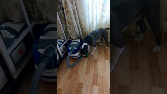 9ba5b27f4489ae0a999ca1c28d95ffff