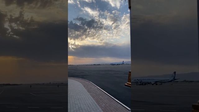 Чувственные Линии