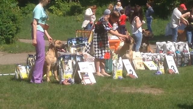 Национальная выставка бурбуль, 2018 г., Лучший щенок сука