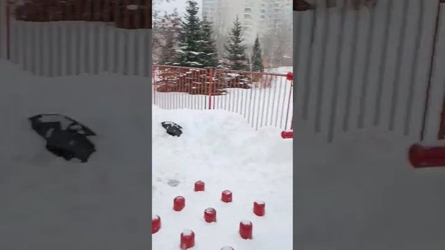 Учимся шагать, практика с Бадюком! #ушу #кунгфу #цигун @SBadyuk ?☯️