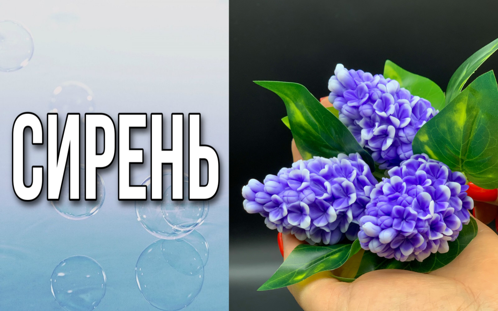 Сирень/Мыловарение