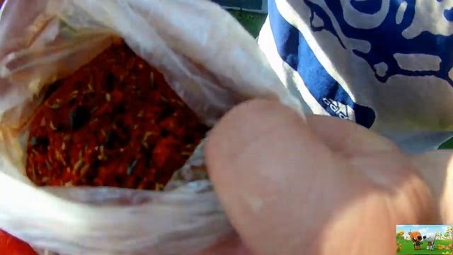 4e84335e858380cfb3df4b1f746a0ba6