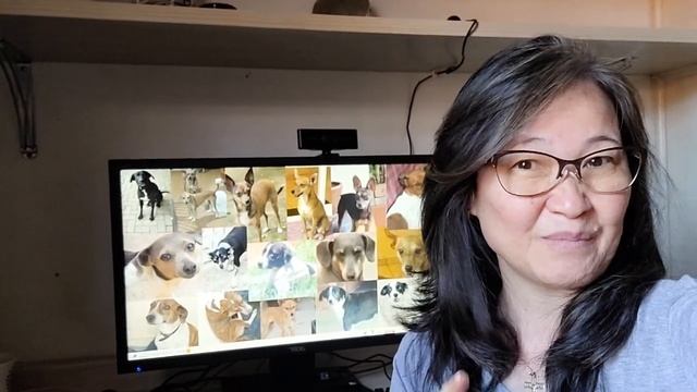 Amigurumi Oficina Dos Cachorros Personalizados