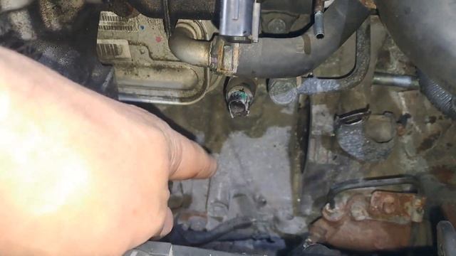 Интерьерный оазис