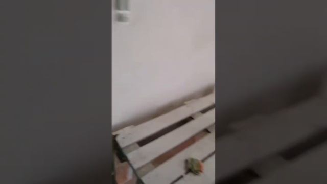 Ремонт-квартиры дом хостел…