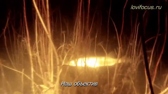 Подводная съемка с линзой ЛовиФокус