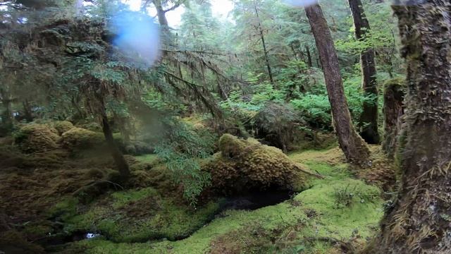 Da0a5e6fa7321f48a8e6860d7ee0df07