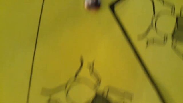 FuN. Darkling Beetle Life Cycle Week Of May 21,22