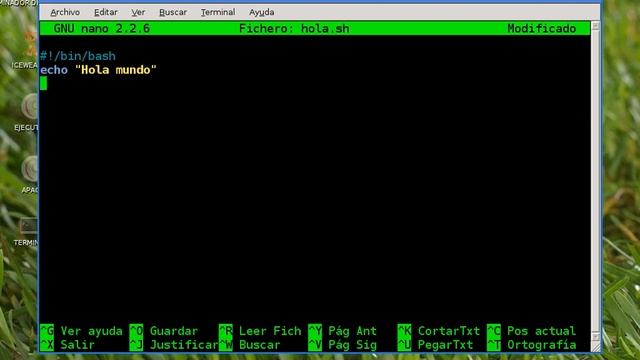 Hola Mundo En Bash V1