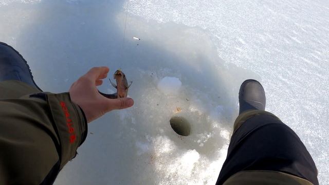 Закрытие зимнего сезона 2023. Весенняя рыбалка на лесном озере. Щука на жерлицы