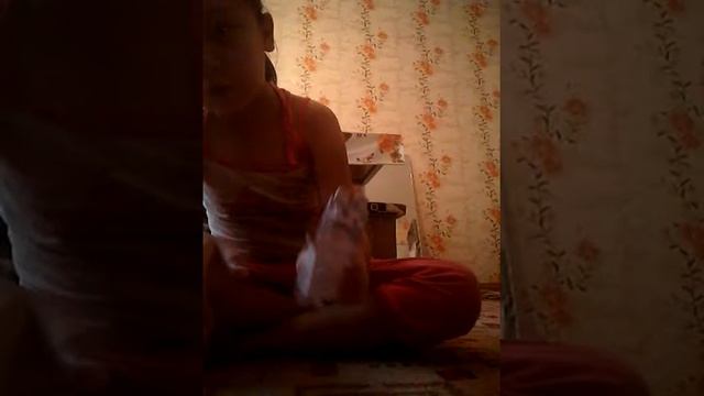 Мини котик слайм алмаз волк той Стив майнкрафт из бумаги