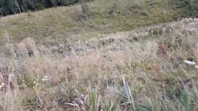 Артхаус. Как способ бытия. Часть 1